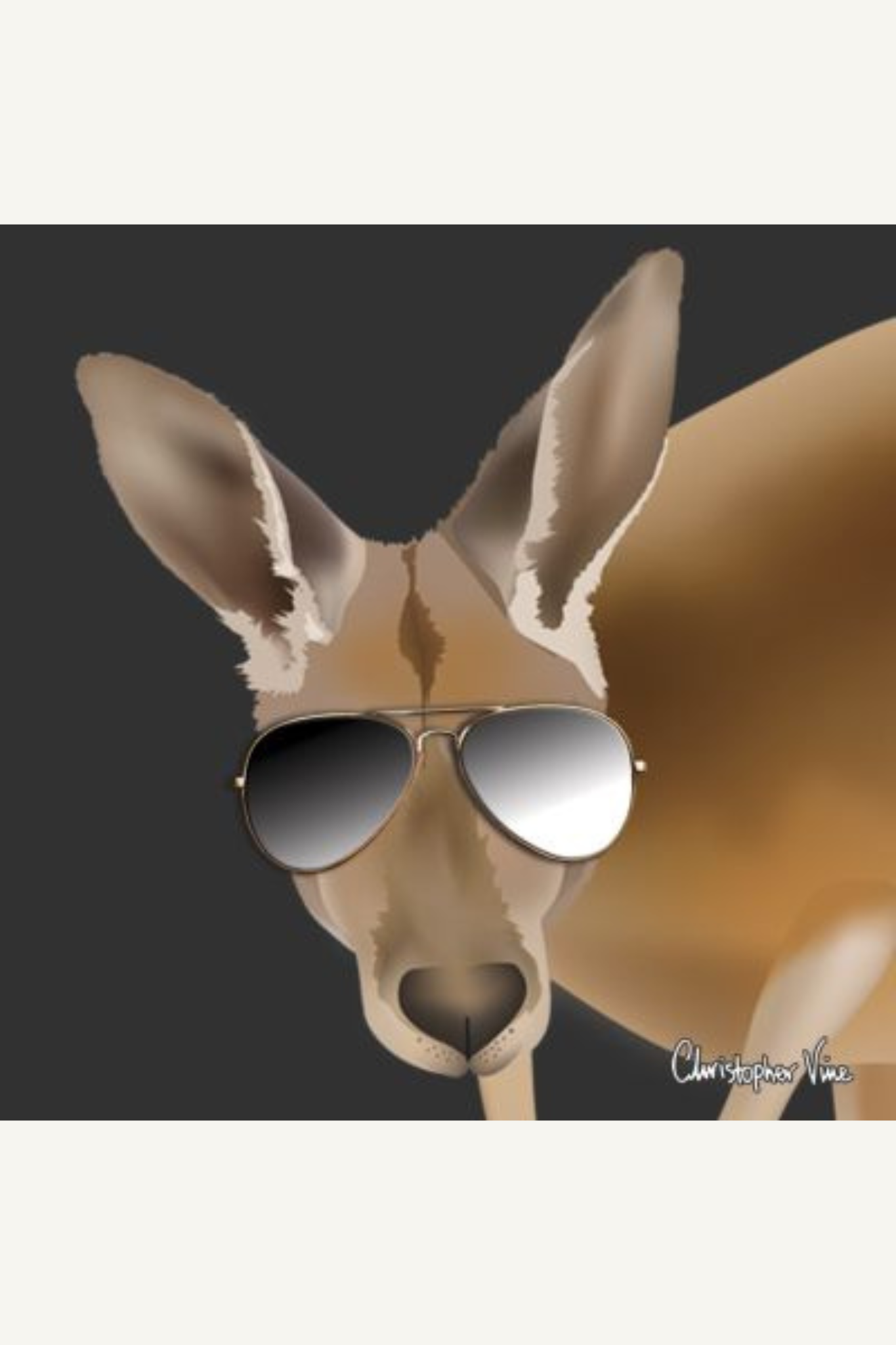 Mini Kangaroo Greeting Card