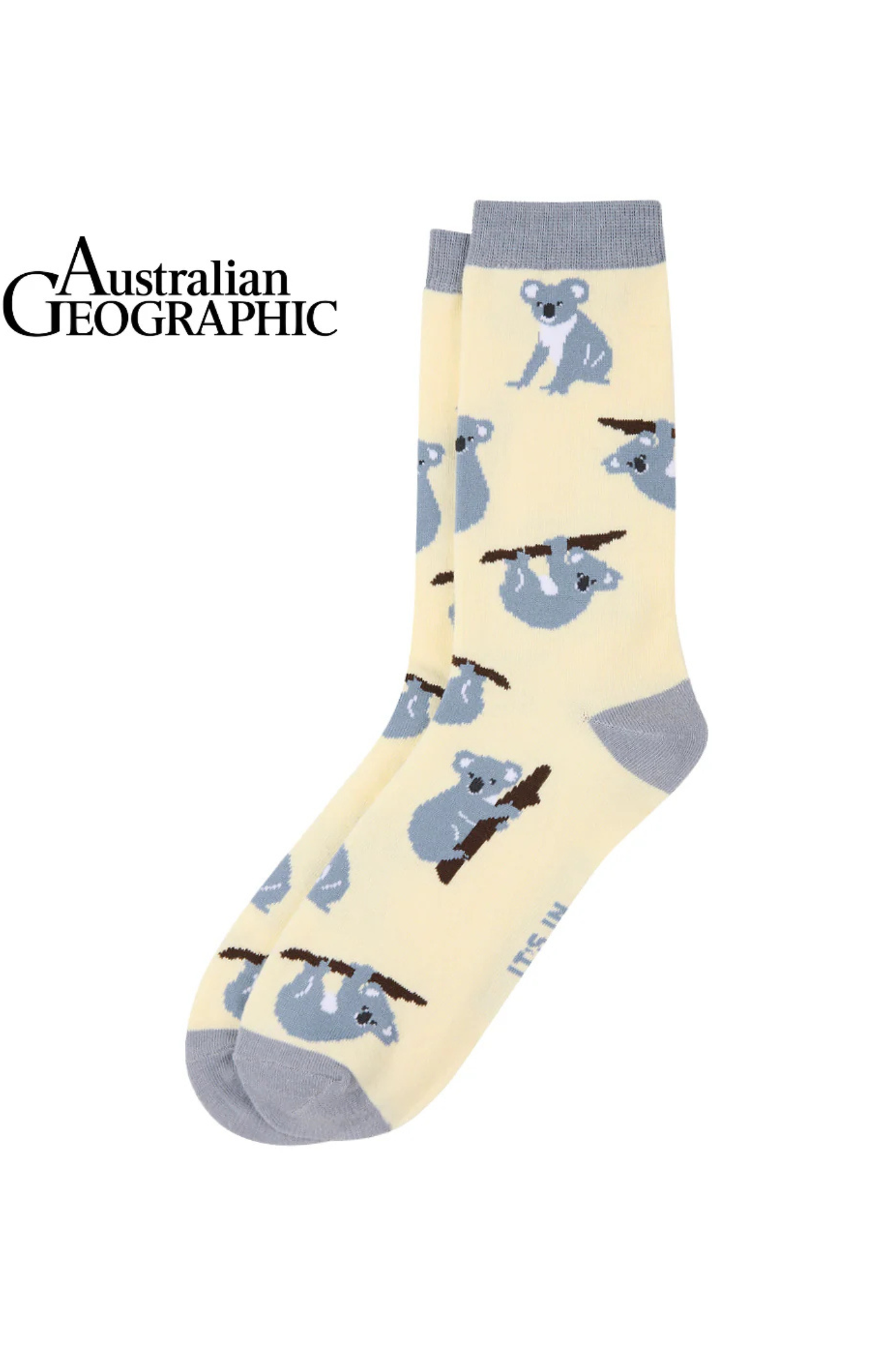 Koala Socks