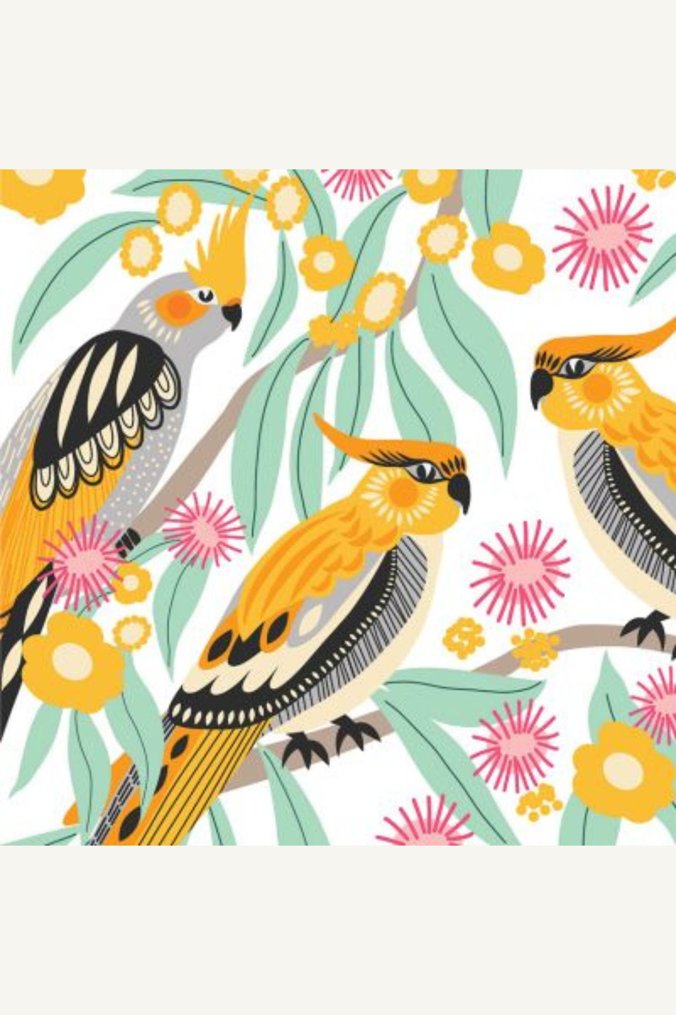 Mini Australian Birds Greeting Card