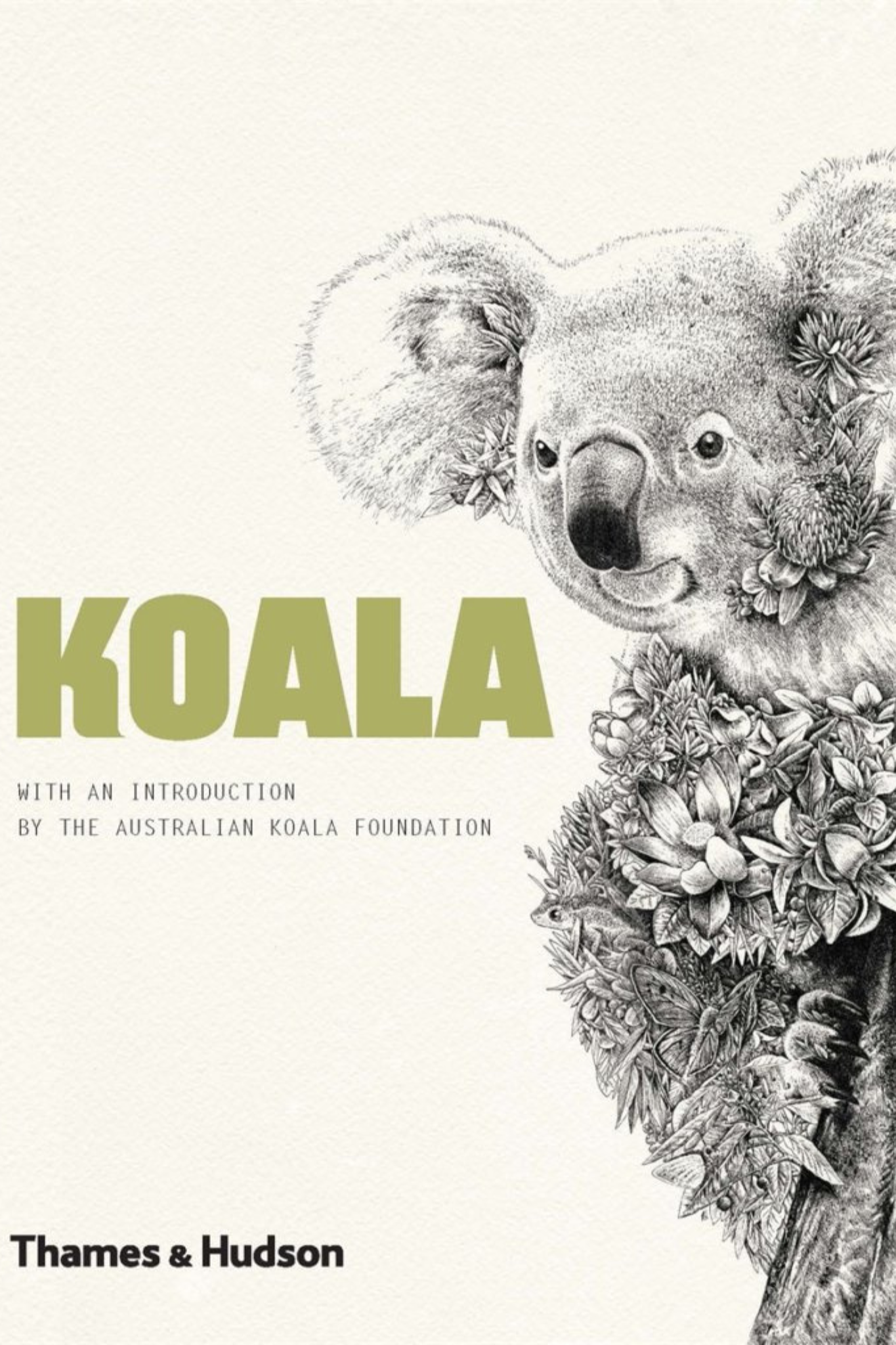 Koala Thames and Hudson