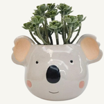 Koala Head Planter