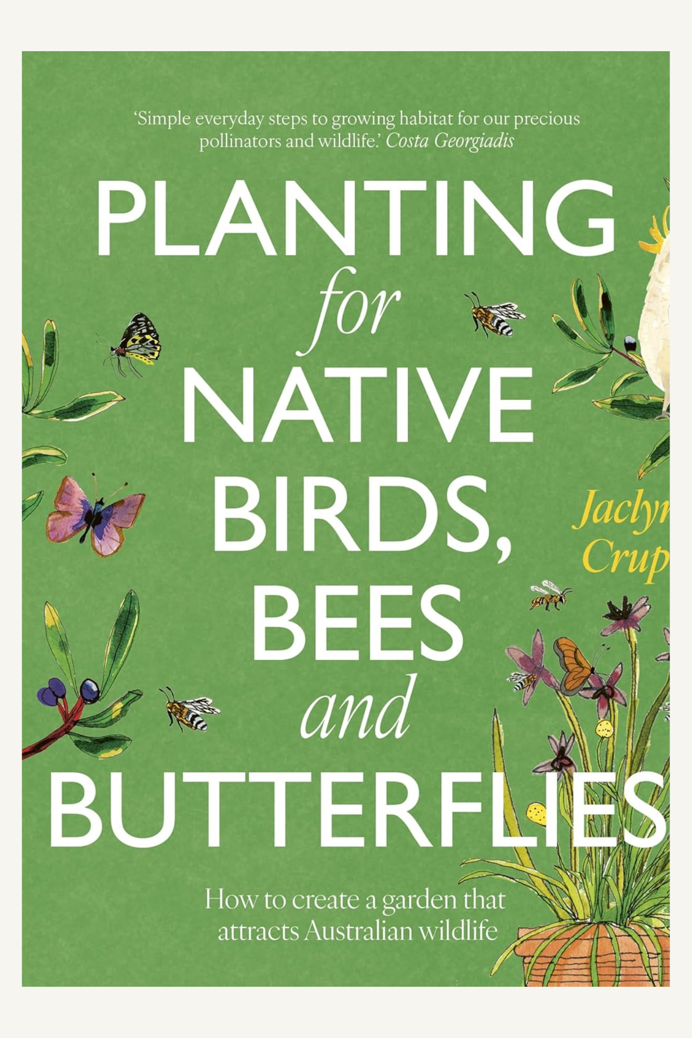 Planting for Native Birds, Bees and Butterflies