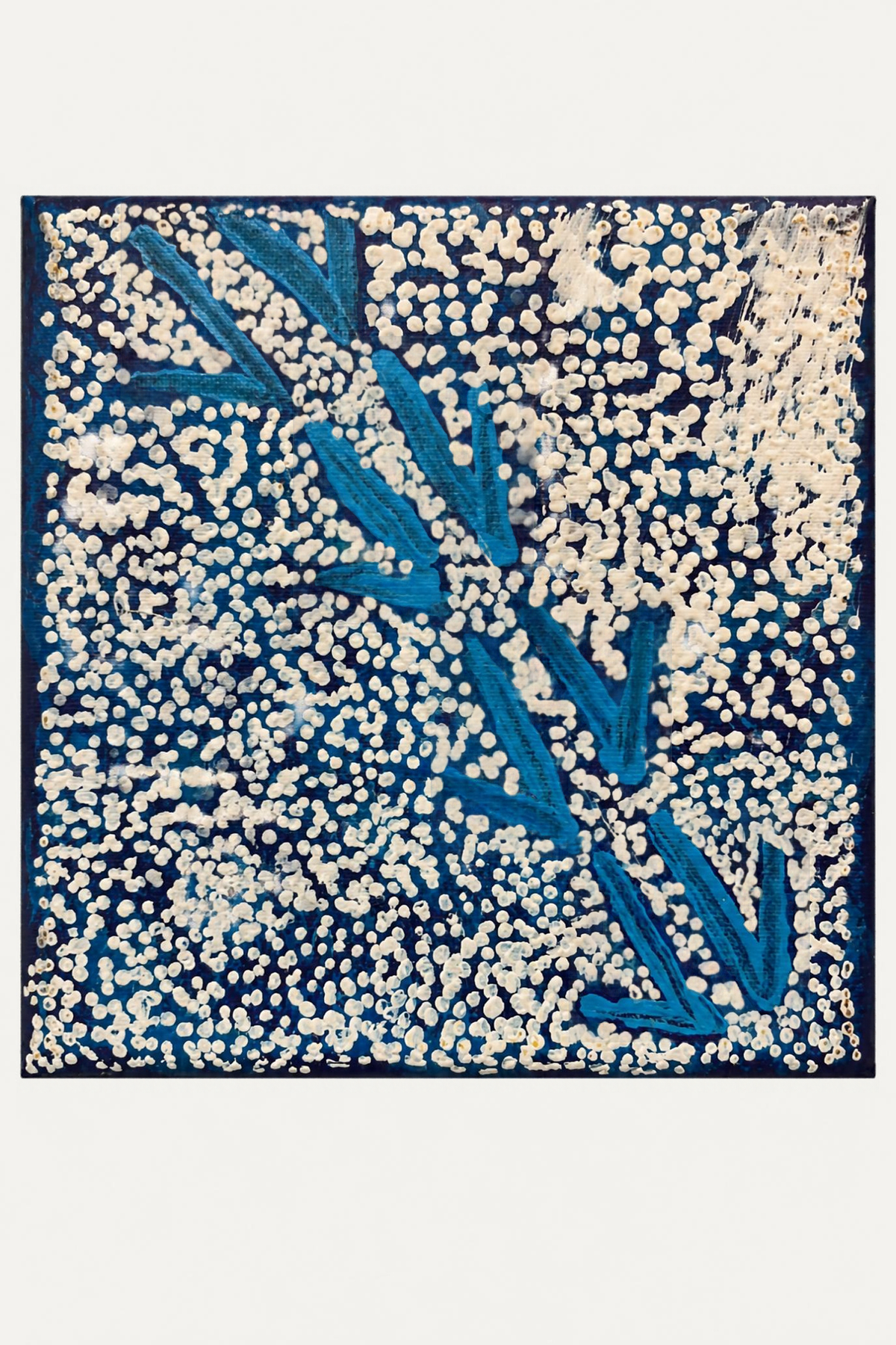 Veston Jakamarra Walker - Marlu Jukurrpa (Red Kangaroo Dreaming)