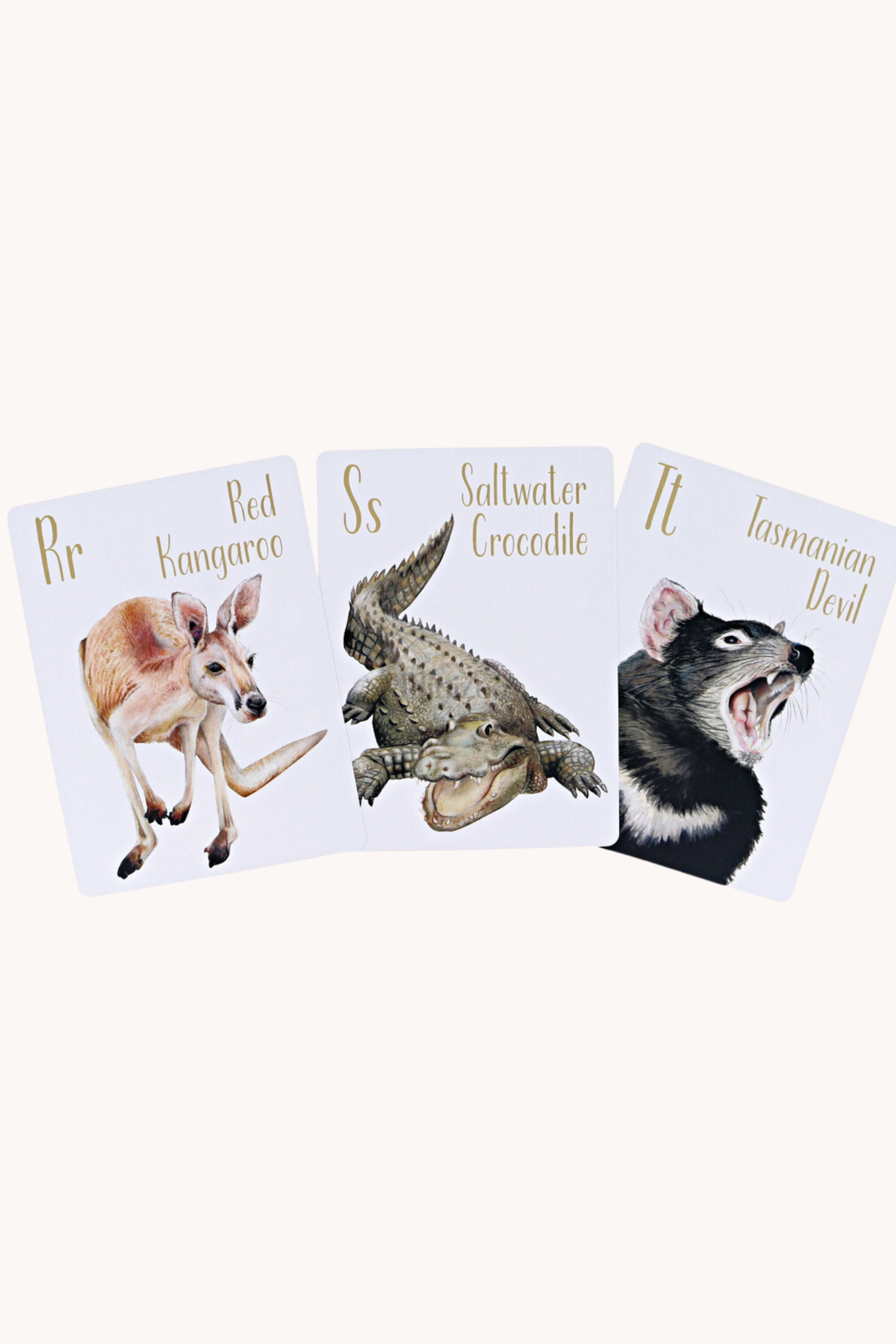 Australian Animal Alphabet Flash Cards