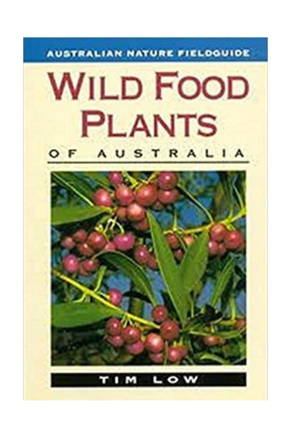 Wild Food Plants of Australia - Kakadu-Plum-Co